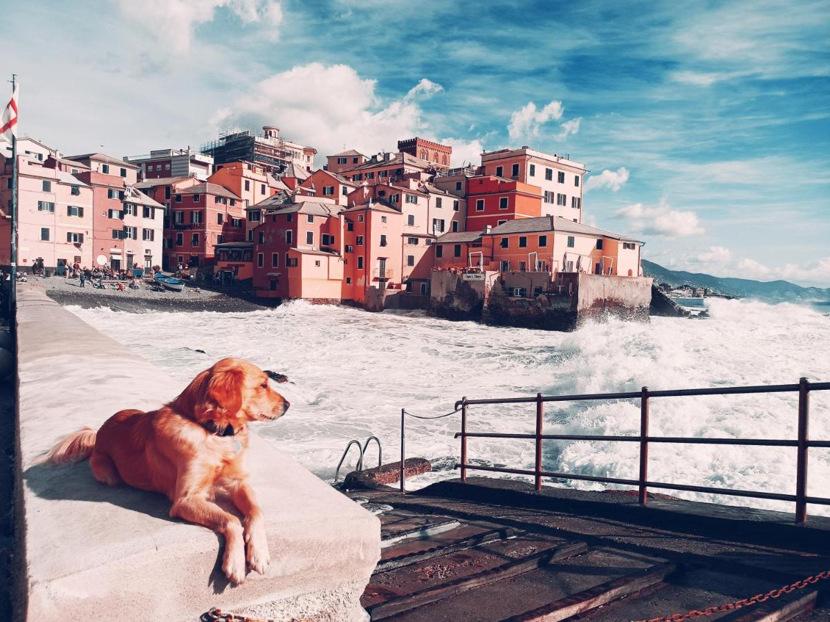 Il Giardino A Boccadasse Генуя Экстерьер фото